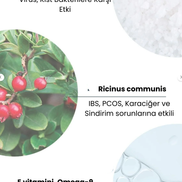 Hint Yağı & İyilik Korsesi